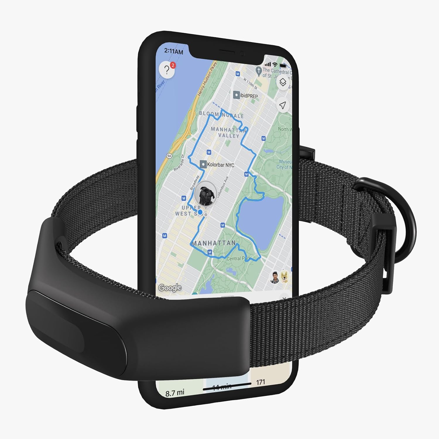 Averia Collar GPS and Activity Tracker