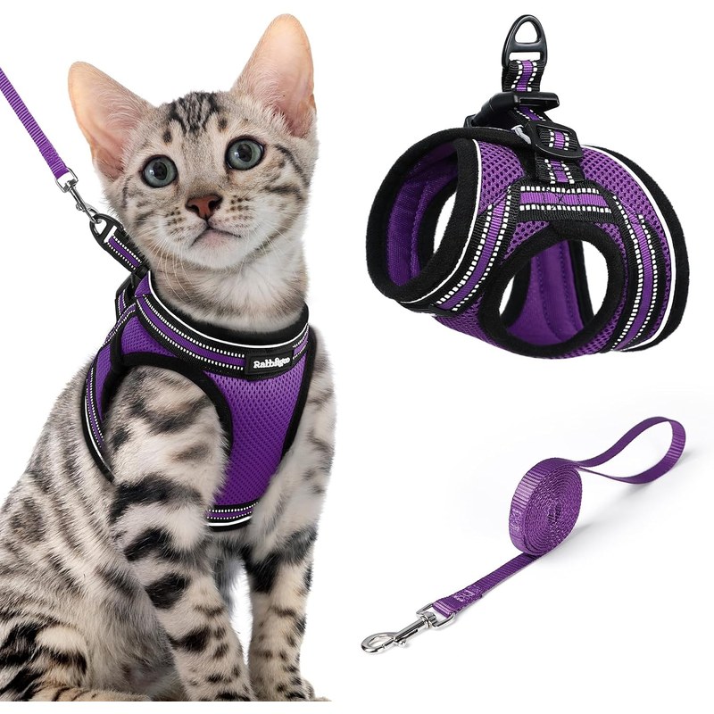 rabbitgoo Cat Harness and Leash Set, Step-in Soft Vest, Purple